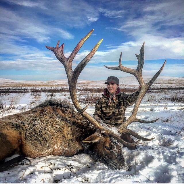 carlabelle6's tweet photo. When your elk hunt turns into a hunt of a lifetime! #thatsmyboy #shootstraight #bigolbull https://t.co/tuRe1SqYDR