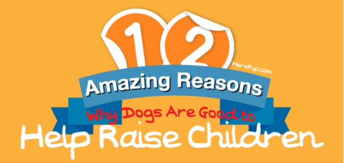 georgesleo5_'s tweet photo. 12 Awesome Reasons Why #Dogs Are Great For #Kids #GuestPost #HerePup #dogsrule #ilovemydog #raisingkids #petlovers https://t.co/Vh22fOYhID https://t.co/89MbtXp9go