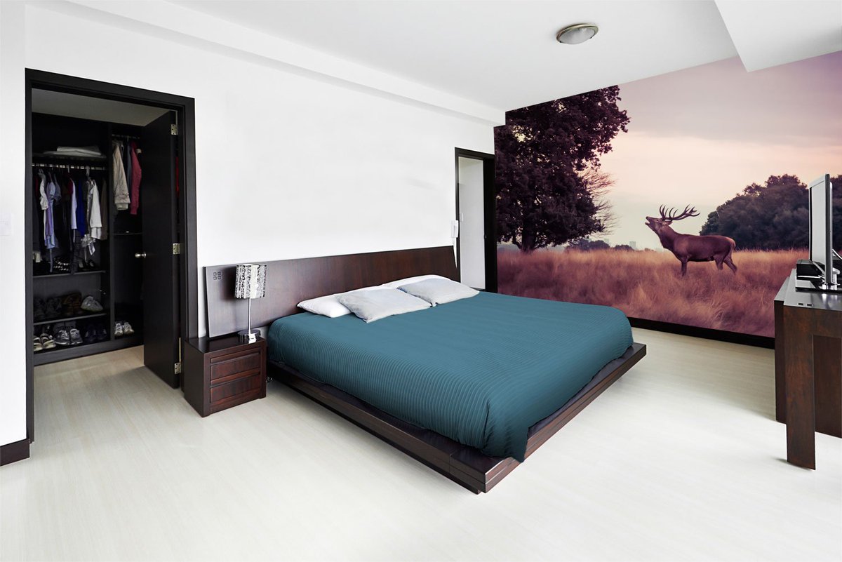 wallsaucecom's tweet photo. Bring the outdoors in and warm up your decor with a stunning wall mural from our @NickJshoots collection https://t.co/MO14tqQ4CO https://t.co/jmRDCkvDMl