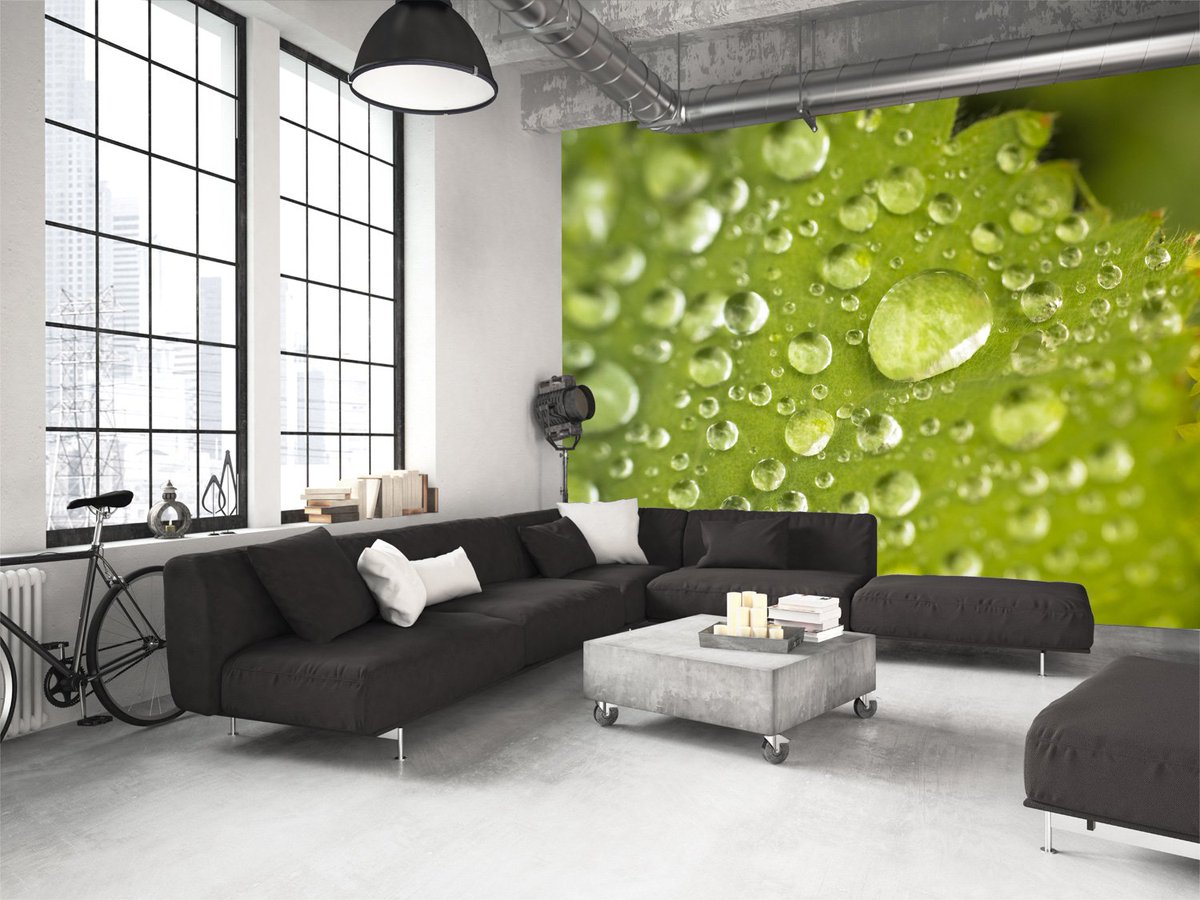 wallsaucecom's tweet photo. Bring the outdoors in and warm up your decor with a stunning wall mural from our @NickJshoots collection https://t.co/MO14tqQ4CO https://t.co/jmRDCkvDMl