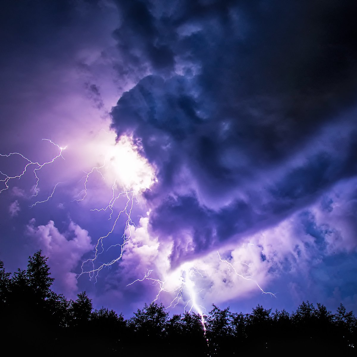 Naturespace tweet media