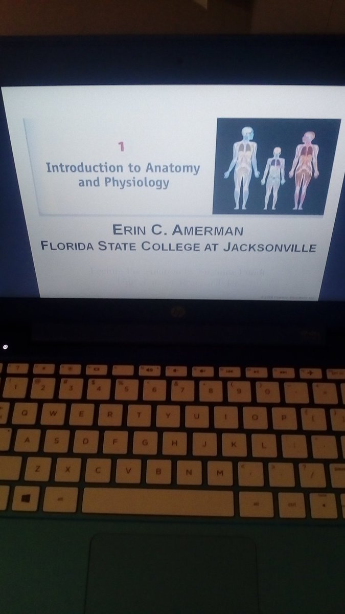 MemphizMoreman's tweet image. #Studyflow