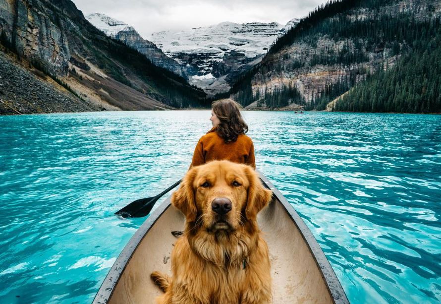 lens_shutter's tweet photo. More than obsessed with these shots from @hunter_lawrence. Lake Louise's glorious waters and faithful companions. No, you're not dreaming. https://t.co/iCSiNyK0Wb