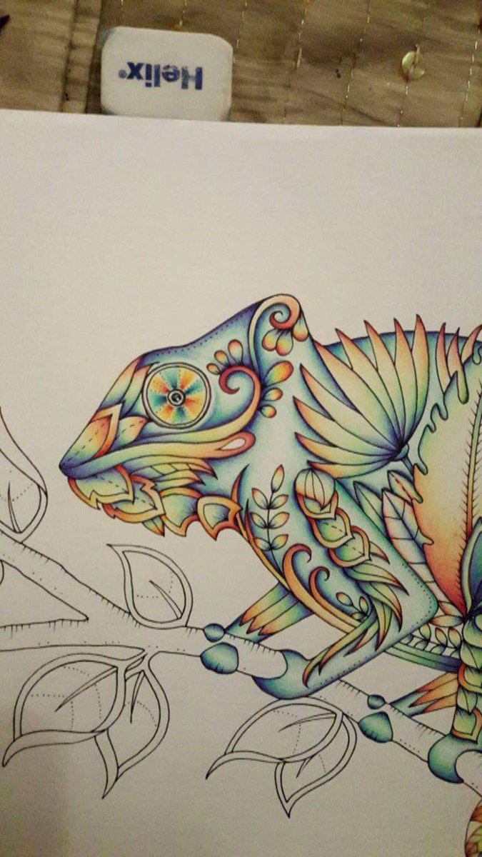 teresachard2's tweet photo. Eye eye lol #johannabasford #magicaljungle #adultcolouring #colouringformindfulness https://t.co/2XCtucxK2k