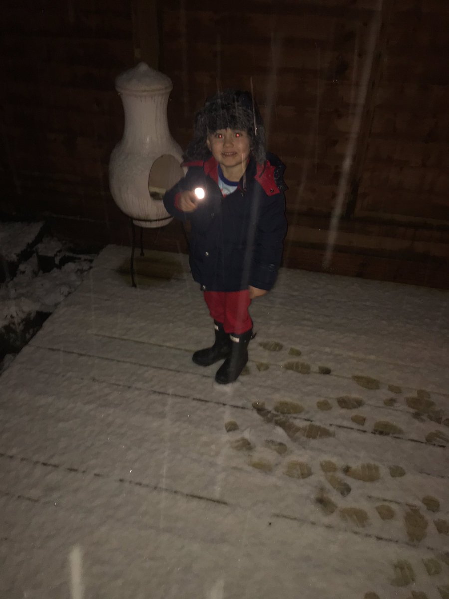 bronteh29's tweet photo. @Lauratobin1 Harris aged 3 first time in the snow. Very excited 😊 https://t.co/z1HrWRQbqz
