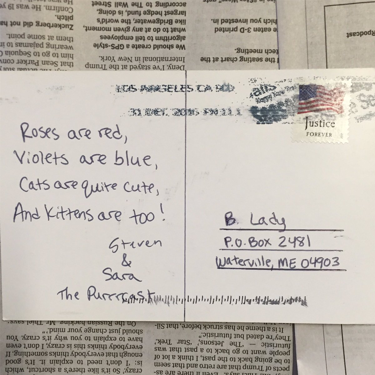 MaelXavi's tweet photo. #thepostcardmovement #postcardsandpoetry #thepurrrcast #catpeople #redroses #blueviolets #kittens #snailmail #deltiology #airmail #cats https://t.co/yfkNNexnUI