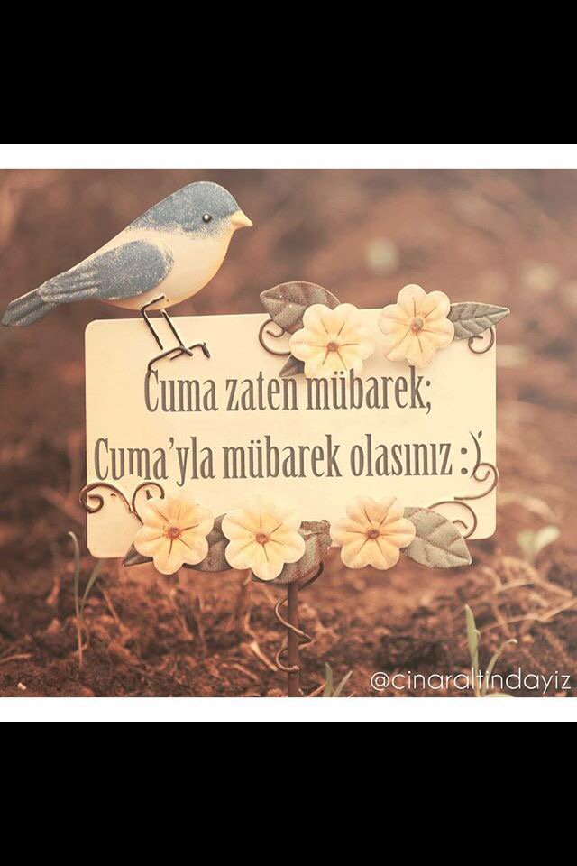 T.C İbrahim Moray tweet media