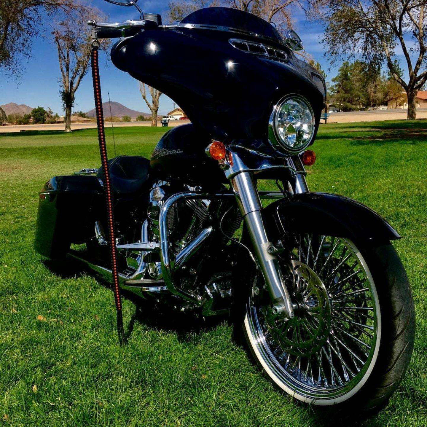 Get back 2024 whip harley davidson