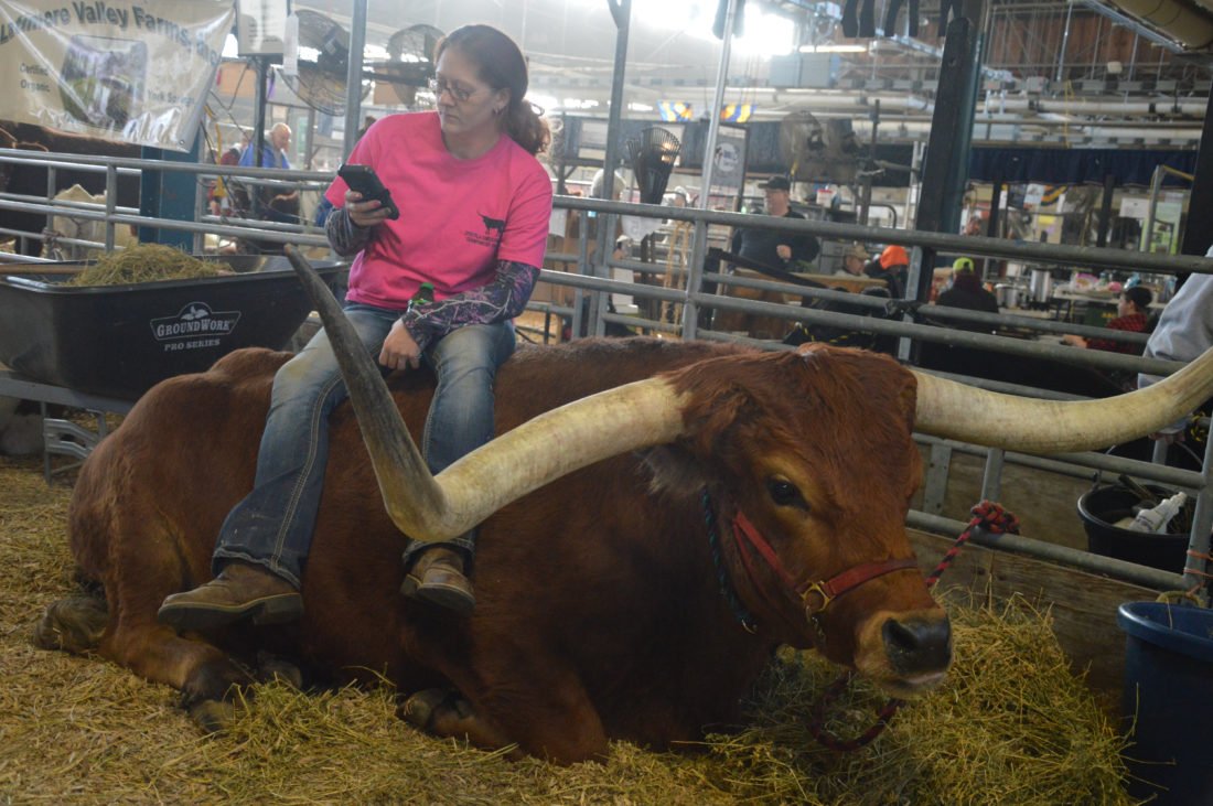 PADCEDnews's tweet photo. The @PAFarmShow brings #PASmallBiz from across the state together, providing a boost to business. https://t.co/v6co2C1Cii #PAFS2017 https://t.co/n7rldkSf6m