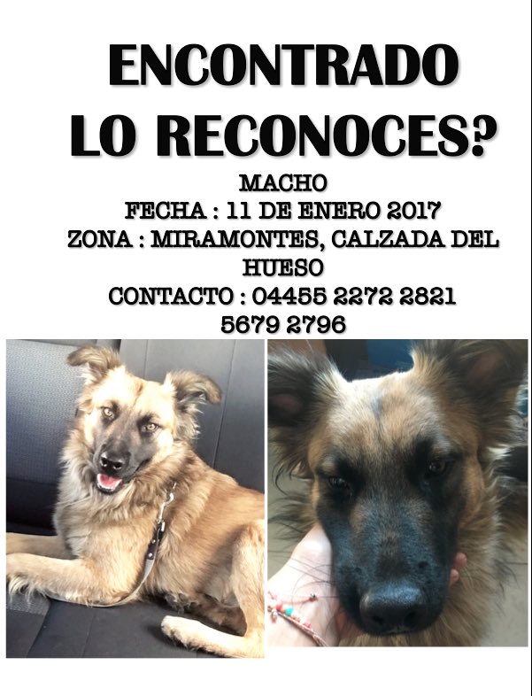 Porfa ayudenme a dar RT para que aparezcan sus dueños 🙏🏼🙌🏼💙