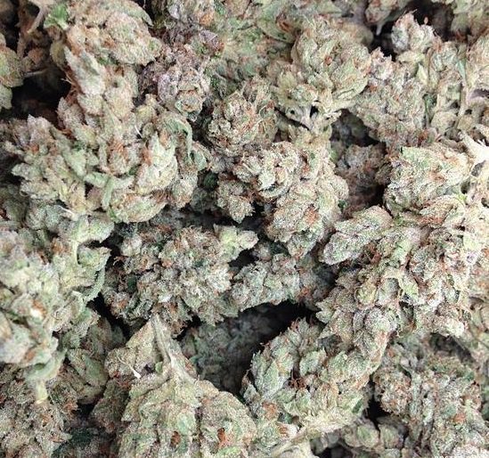 Strain: Skywalker OG
Class: Hybrid
Taste: Earthy and Pungent
THC:18-30%
*Makes you Relaxed, Helps with Stress
#StrainoftheDay #Stoner #weed