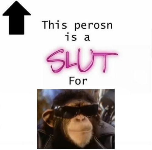 ShitpostBot5000's tweet photo. https://t.co/bQu08hu4wP