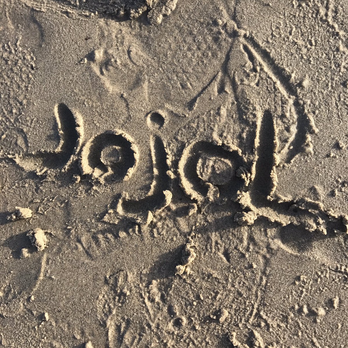 Jojol tweet media