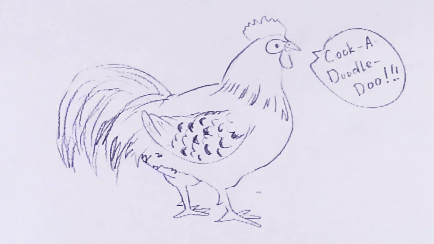 Cock рисунок
