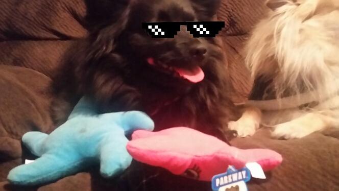 KitKat20032017's tweet image. 