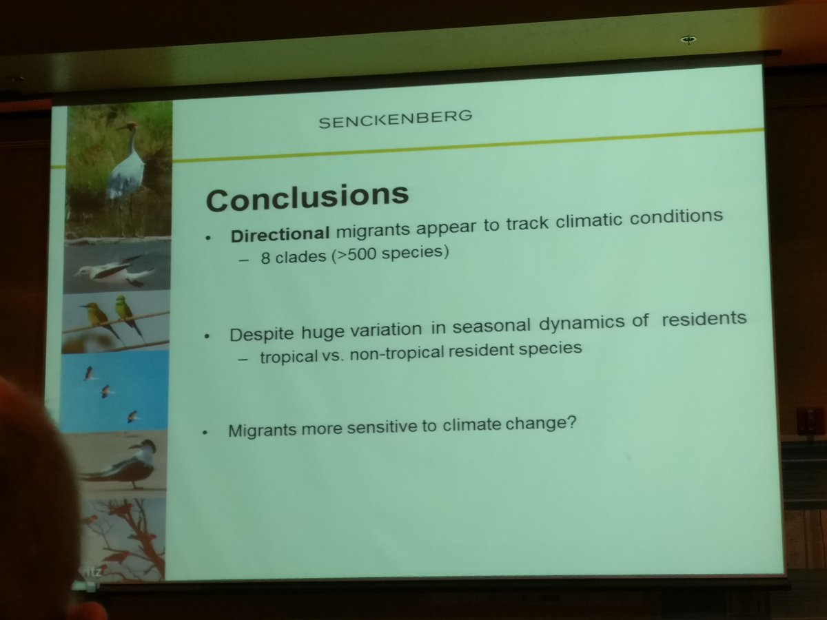 Migratory birds potentially more sensitive to climate change: interesting result from <a href="/AliEyres/">Alison Eyres</a> #ibstucson #biogeography <a href="/Biogeography/">The International Biogeography Society</a>