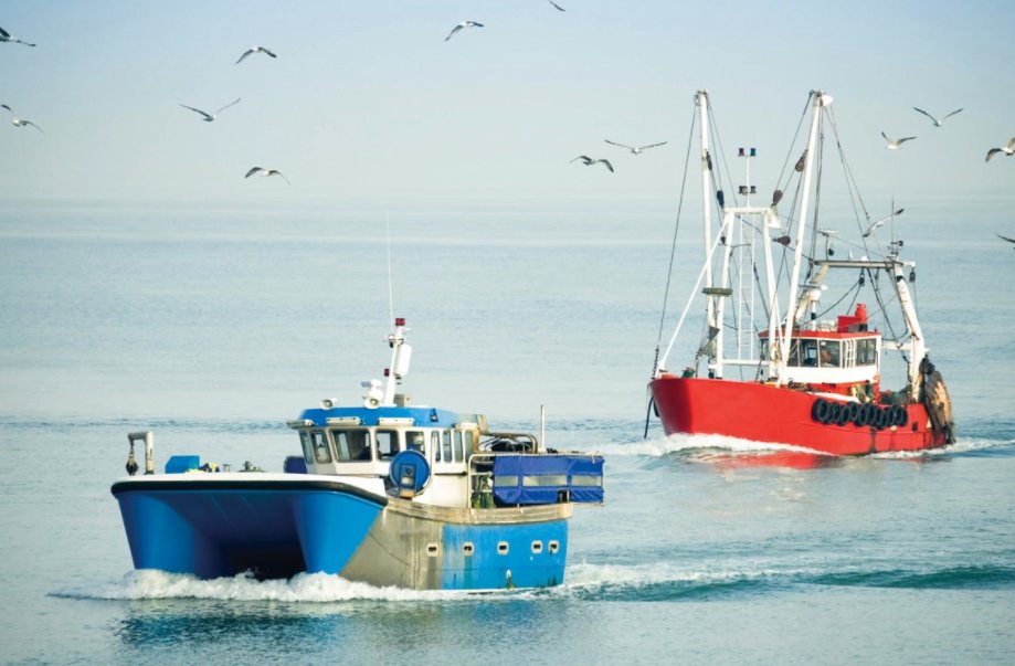 USFoods's tweet image. 67% of consumers have a better impression of restaurants that serve sustainable food. Show them how you #ServeGood! ow.ly/Xb2B307nBot