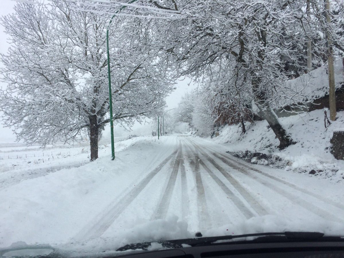 pabrindi's tweet photo. "La neve pose una tovaglia silenziosa su tutto...Mi avvolgo in una coperta e non penso neppure a pensare" Pessoa https://t.co/4qABGU1ycu