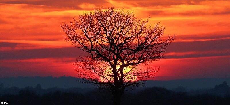 Al-Marwat Foundation (@almarwatfounda2) on Twitter photo 