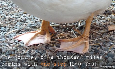 teecotee's tweet image. #BeTheChange #animalliberation #lovelive #animals #stepup🐱🐮🐸🐰🐙🐋🐓🐩🦃🦇🐄🐘🐖