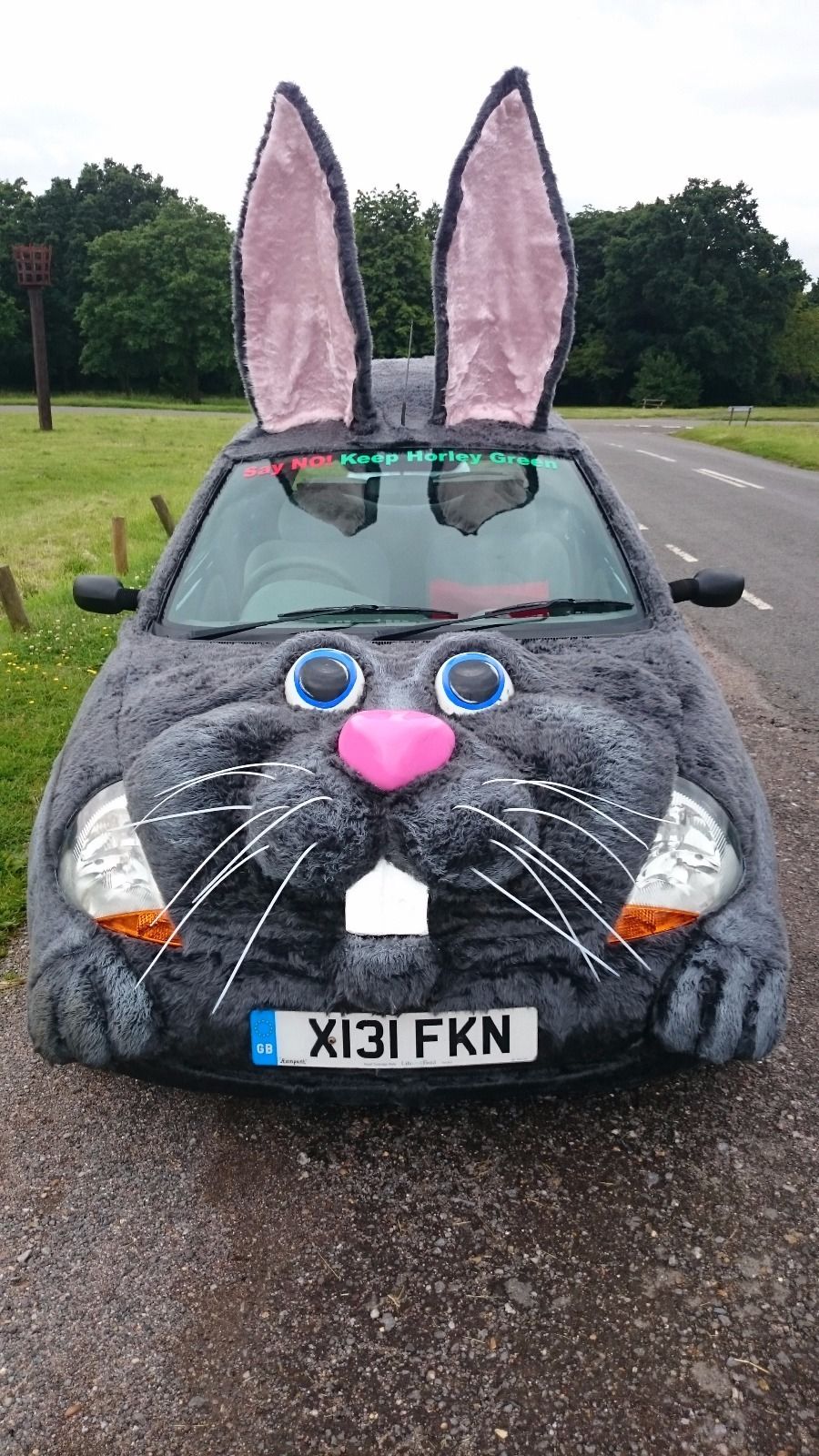 Project Cars UK 🚗💻 on Twitter &quot;Bunny rabbit Ford Ka