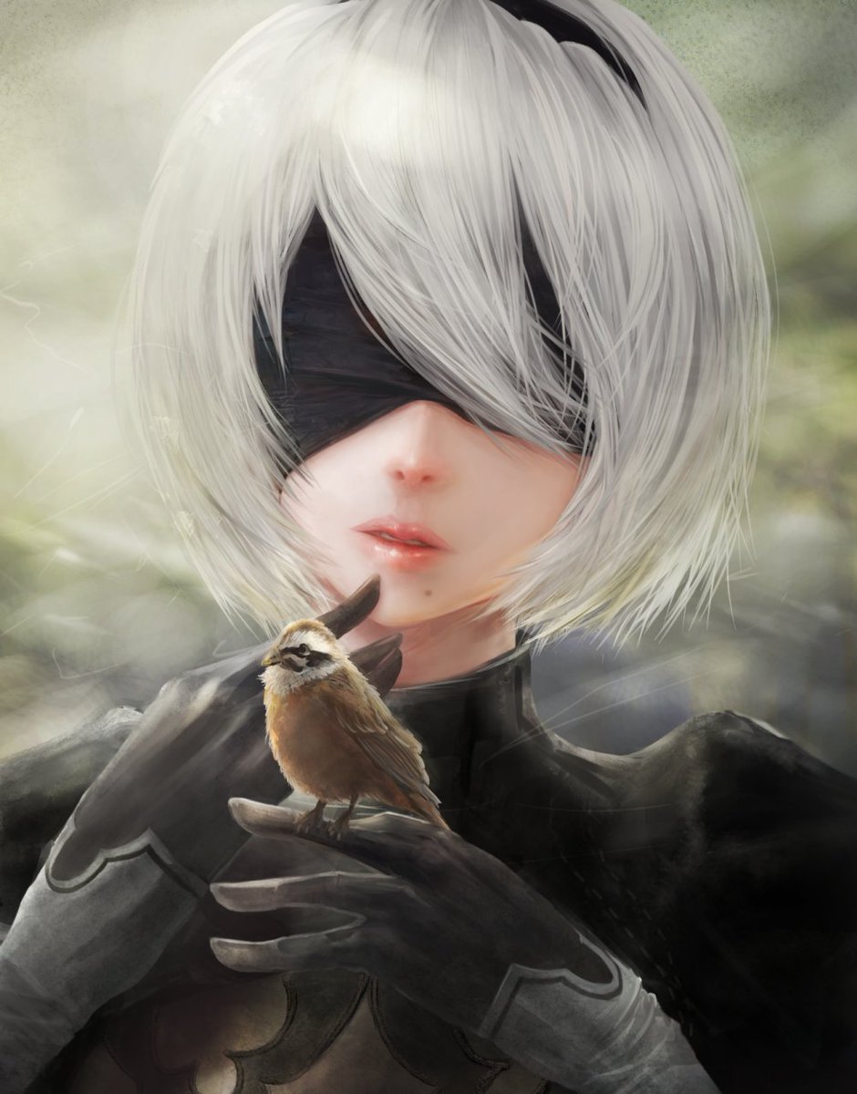 2bと小鳥 Nier ニーアオートマタ 話題の画像がわかるサイト