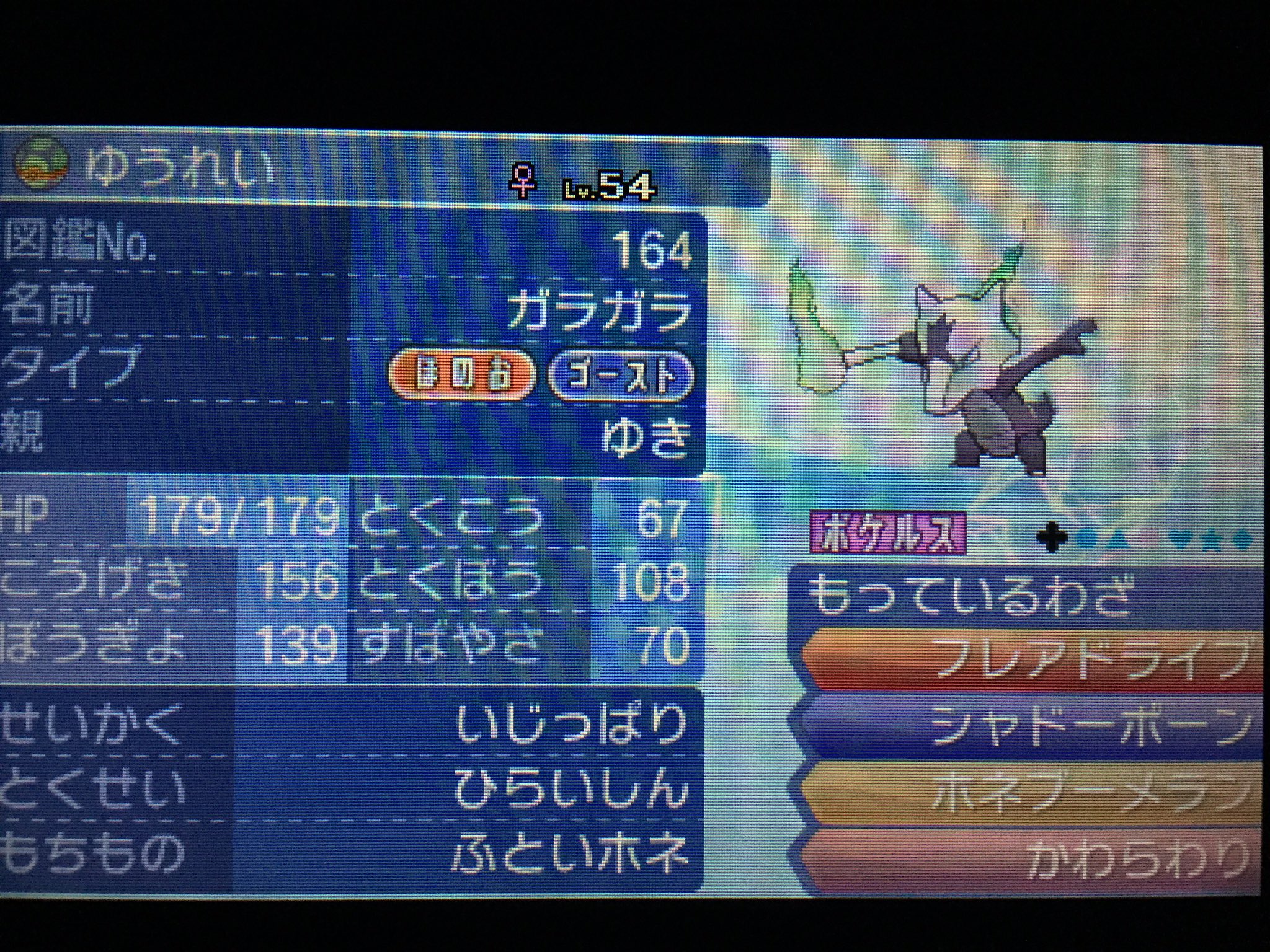 ゆき ポケモンsm 育成no 016 ガラガラr いじっぱりhaガラガラ リージョンフォームなのです 持ち物は ふといホネ 以外ありえないw ひらいしん で電気技を受けて ホネブーメラン で返したり シャドーボーン を受けに来たノーマルタイプを かわらわり