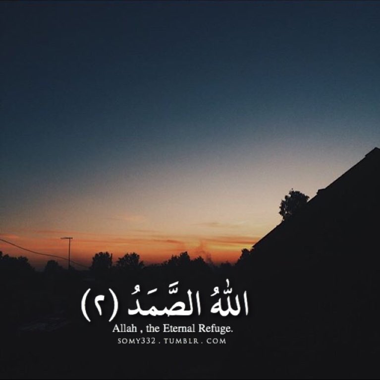 نقاء 🌱 tweet media