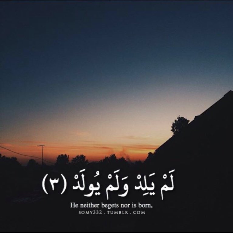 نقاء 🌱 tweet media