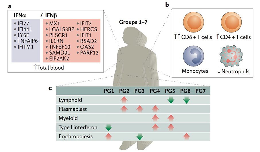 Immunopole's tweet photo. #SystemicLupusErythematosus: #geneexpressionprofiling used for the first time to #stratifypatients @NatRevRheumatol https://t.co/pUTawANicV https://t.co/oi4b5uqtWJ