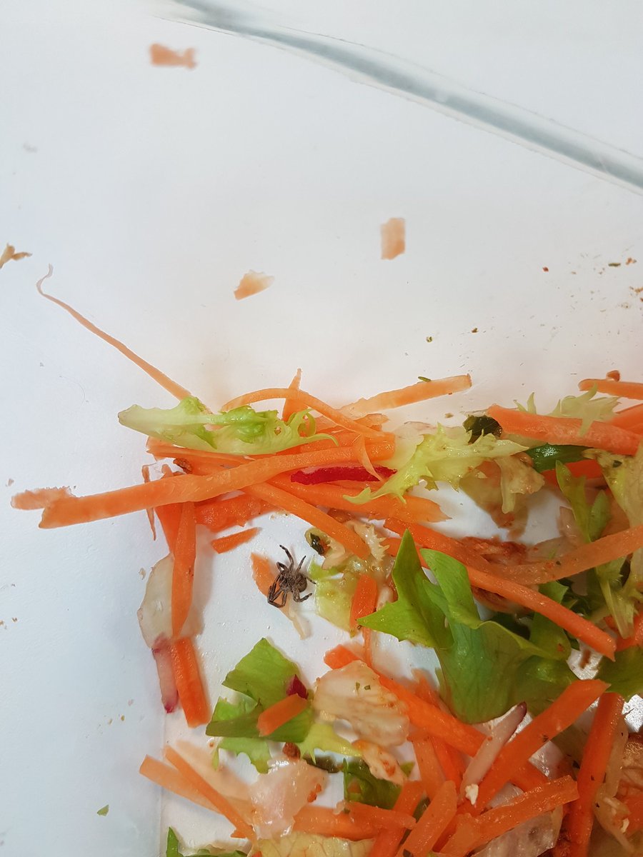 laura_heppy's tweet photo. @asda @AsdaServiceTeam eating my lunch and come across a spider in my salad, not happy #worstnightmare https://t.co/I8Dt9Nj2jt