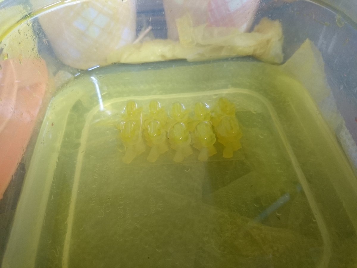 yama823's tweet image. やったー！！
B9C　嘘みたいに銚子いいぜ！！

＃B9C