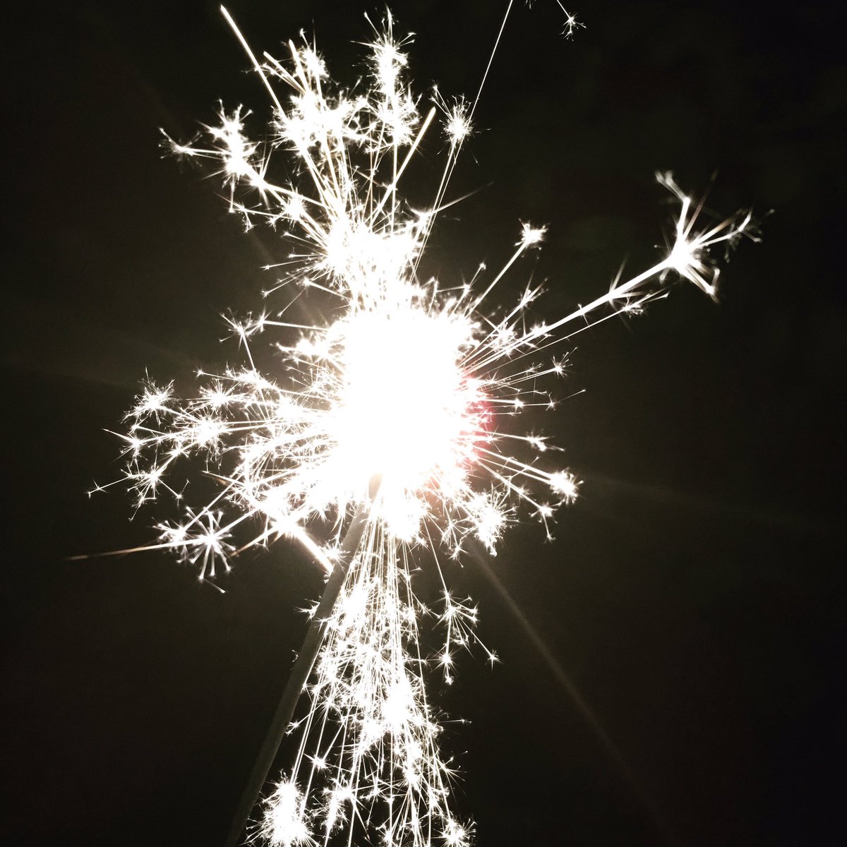 SnoopAround1's tweet image. New blog post🎉this time I shared my first day of 2017 and some of my new year resolutions ilovesnooparound.blogspot.it/2017/01/happy-… #firstdayof2017 #bbloggers