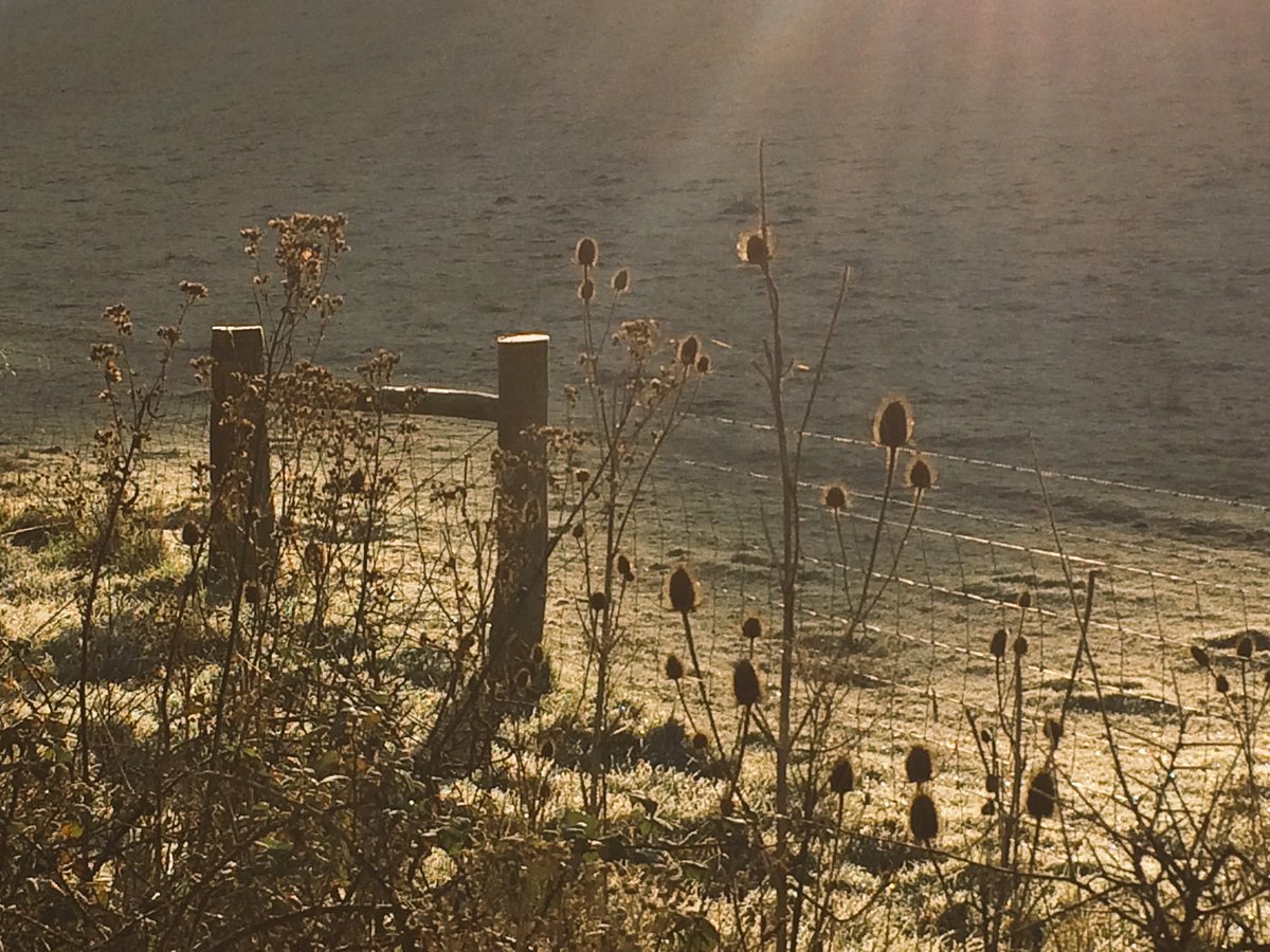#frosty #morning <a href="/onthewight/">OnTheWight: Isle of Wight News</a> <a href="/IoWVAA/">Isle of Wight VAA</a> <a href="/VisitIOW/">Visit Isle Of Wight</a> <a href="/BBCSouthWeather/">BBCSouthWeather</a> 5-1-2017