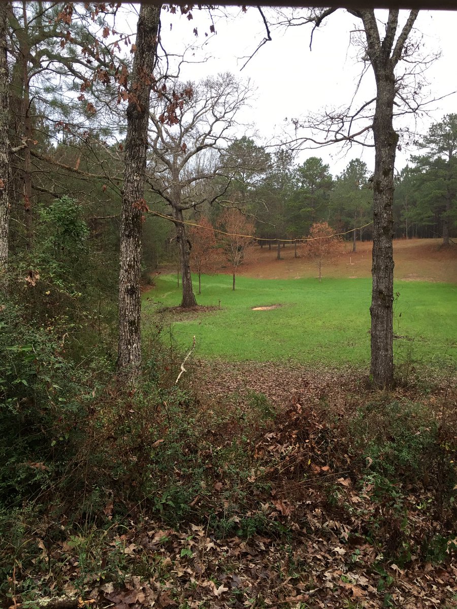 lpjackson71's tweet photo. Good morning from the deer stand #mississippideerhunting https://t.co/v0LWzK745t