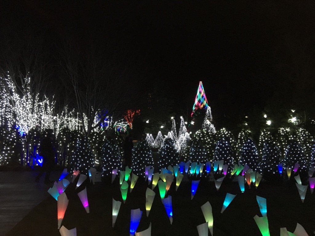 LSwingRealtor's tweet image. #Asheville- Winter Lights display- Arboretum.