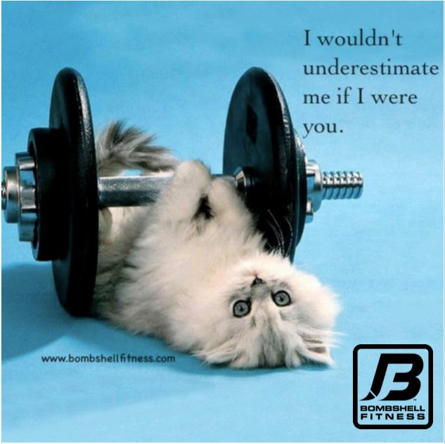 bombshellnews's tweet image. #bombshellstrong
bombshellfitness.com