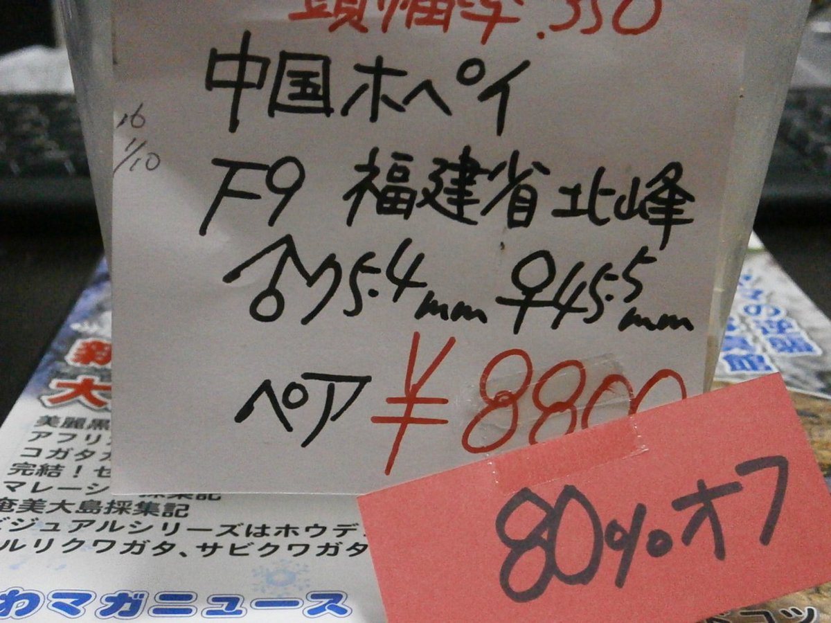 oddeyes1208's tweet photo. 昨日だけど習クワでゴキじゃなくてクワガタゲットしてきた
習クワの入り口付近にマダゴキさん居ますけどね https://t.co/ar2FUbZBB7