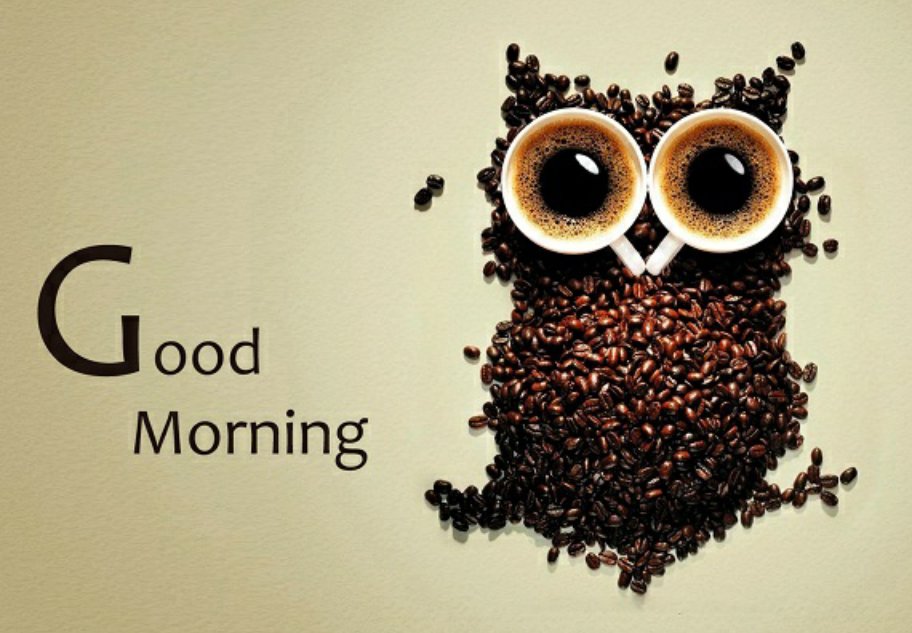jm_duval's tweet photo. I don't give a hoot if it's cold this morning in #Ottawa. Have a great day everybody! https://t.co/IljIU6bZCF