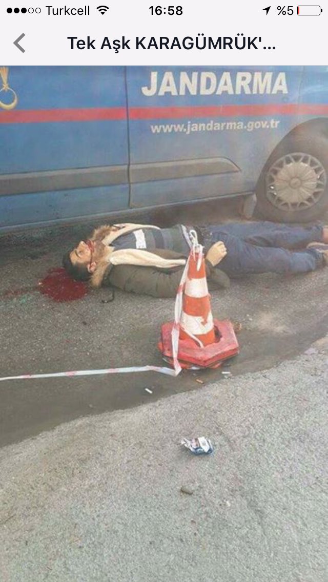 View image on Twitter View image on Twitter