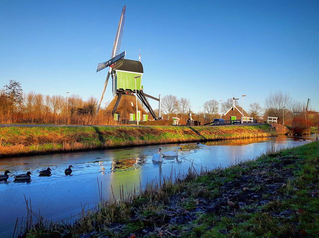 Voorlopig kan er nog niet geschaatst kan worden op de Schelluinse vliet 😄😉 <a href="/Westmolen/">Westmolen</a> #Gorinchem