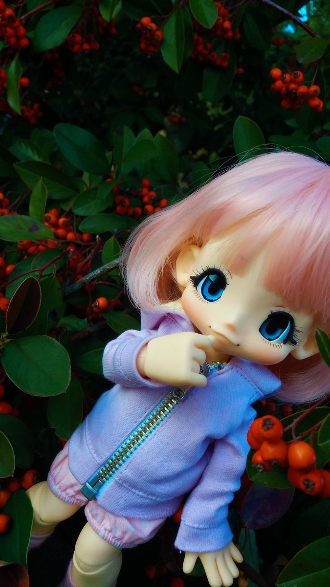lolglu09's tweet photo. I received my KikiPop *3* I took some photos of her with my friend ~ her name is Mafu.U !
#doll #kikipop #photography #azonejp #kawaii #bjd https://t.co/SFccehR92l
