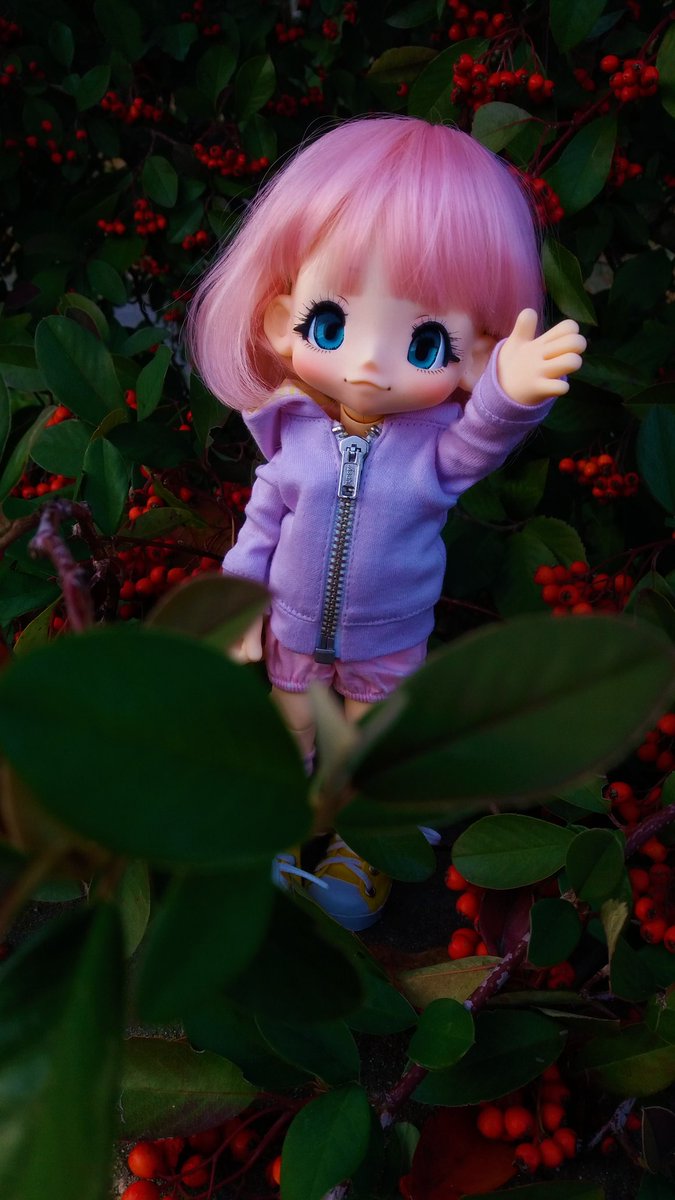 lolglu09's tweet photo. I received my KikiPop *3* I took some photos of her with my friend ~ her name is Mafu.U !
#doll #kikipop #photography #azonejp #kawaii #bjd https://t.co/SFccehR92l
