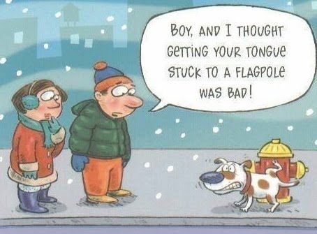 poopfighters's tweet photo. How cold is it outside?????
#PoopFighters #ldnont #sttont #dog #dogs #woof #lol #winter #socoldโ https://t.co/RqGyoUSqEX