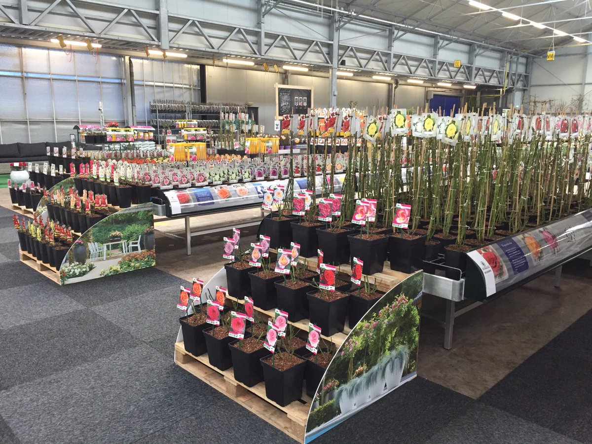 OutdoorRoses's tweet photo. Vandaag is onze V.I.P Beurs gestart, veel nieuwe ideeën en presentaties voor het aankomende seizoen. #roses #tuin #beurs https://t.co/WbRRkiQHWE