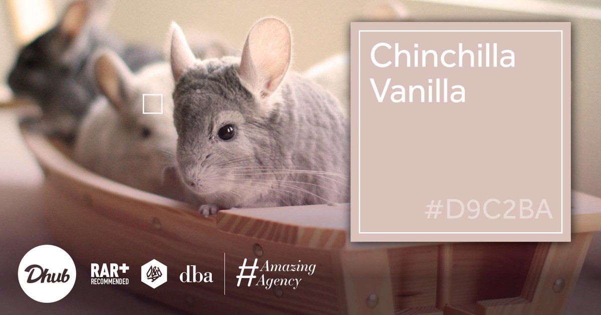 DhubAgency's tweet photo. It's pretty #freezing out. Time to get toasty like these chaps: Chinchilla Vanilla - Hex #D9C2BA https://t.co/82VAz7r5Ov #colours #Designers https://t.co/erwvPg7c0z