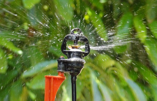 revistagua tweet picture