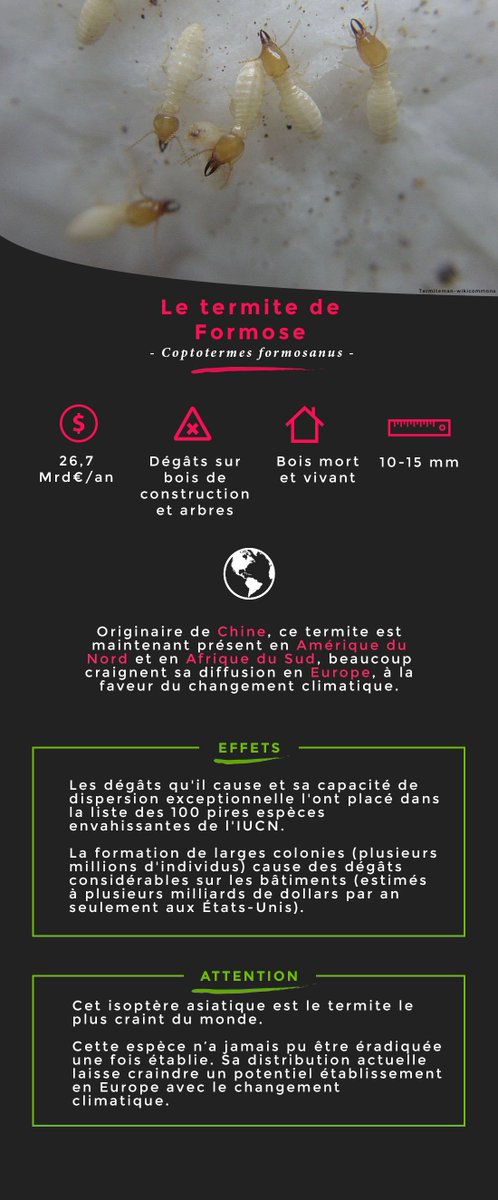 InvaCost tweet media