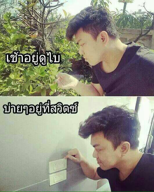 mvsteo's tweet photo. มุกเชี่ยไรเนี่ยยยย 55555555555555 https://t.co/Ntuk5qYKjq