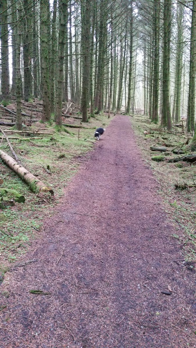 Rodneyball's tweet image. Good to be back home with my main man.